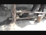 SAM_1623