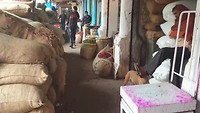 20190216_133901