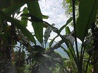 IMG-20190508-WA0074