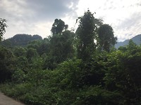IMG-20190508-WA0058