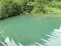 GOPR0387