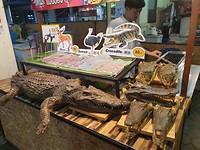 Ja het moest er toch van komen heb krokodil geproefd, was wel beetje taai hoor.