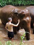 IMG_20190703_111739
