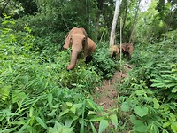GOPR0965