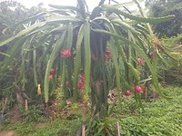 20190706_145608