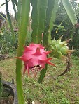 20190706_145634