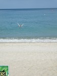 IMG_20190715_153926