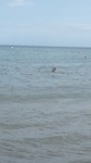 20180814_151504