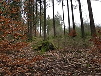 Wandeling 1