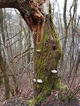 Wandeling 3