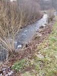 Wandeling 8