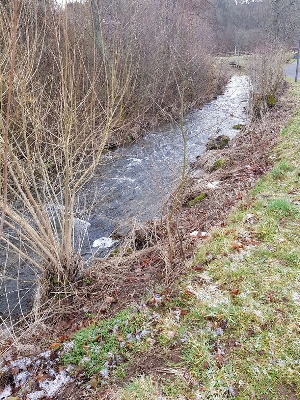 Wandeling 8