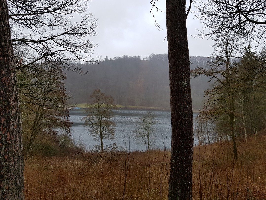 Gemündener Maar