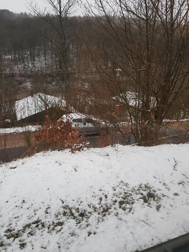 20190318_065338