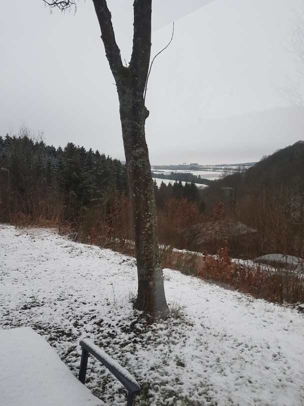 20190318_065325