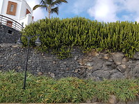 20191221_153129