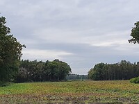 IMG-20201002-WA0004