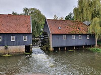 IMG-20201003-WA0013