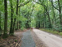 IMG-20201006-WA0001