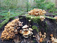 20201006_103415