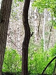 20201006_102808