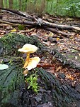 20201006_102640
