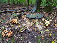 20201006_102627