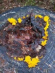 20201006_102331