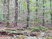 20201006_102224