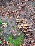 20201006_101900