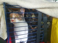 IMG-20250922-WA0001