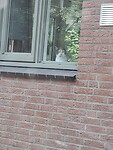 20250930_115743