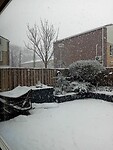 IMG-20260105-WA0005