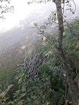 20190802_175756