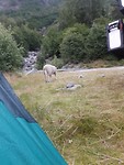 20190802_055456