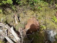 20190805_164041