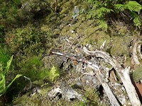 20190805_164039