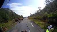 20190808162555