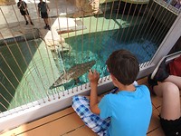 IMG_0978