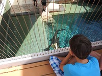 IMG_0977