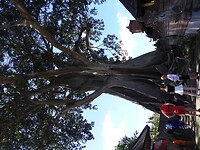 IMG_0114