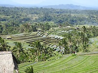 IMG_0099