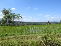 IMG_0090