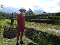 IMG_0070