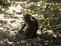 IMG_0227