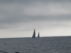 49 tinten grijs