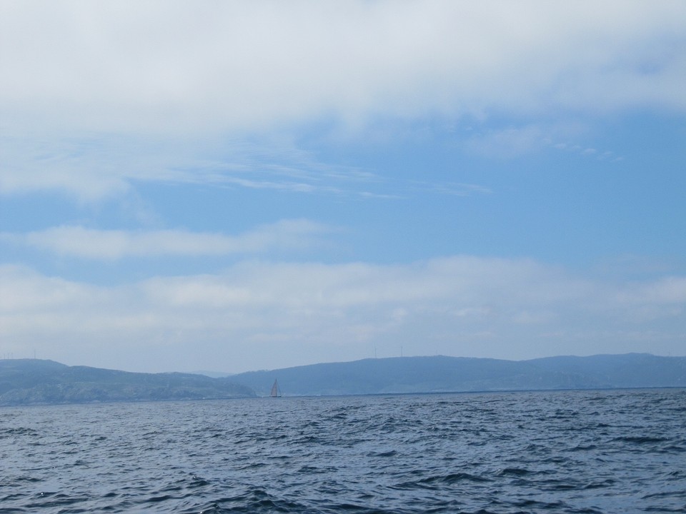 Kust