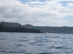 Kust
