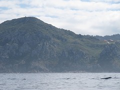 Varen dicht langs de kust