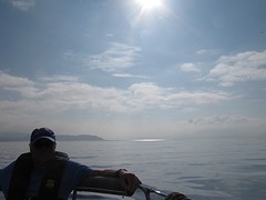 Schittering van de zon
